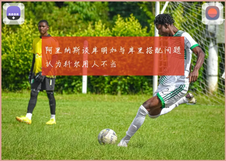 阿里纳斯谈库明加与库里搭配问题认为科尔用人不当