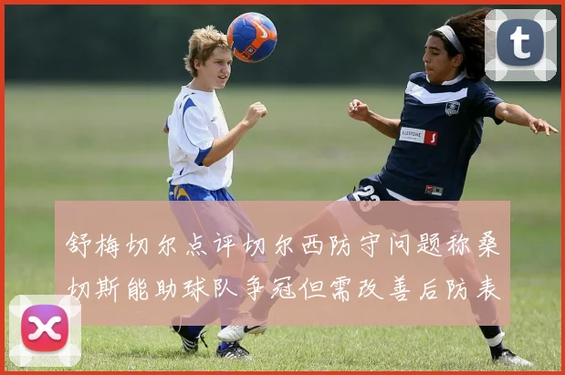 舒梅切尔点评切尔西防守问题称桑切斯能助球队争冠但需改善后防表现