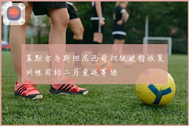 莱默尔与斯坦尼西奇积极进行恢复训练目标二月重返赛场