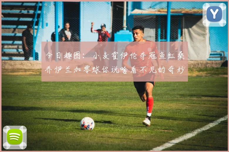 今日趣图：小麦霍伊伦夺冠鱼缸桑乔伊兰加零球你说啥看不见的奇妙瞬间