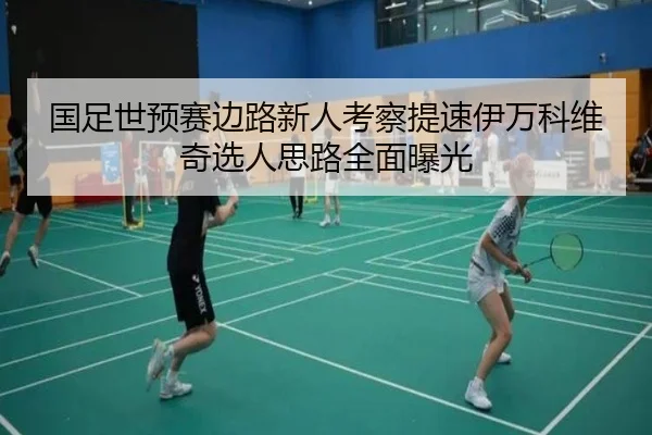 国足世预赛边路新人考察提速伊万科维奇选人思路全面曝光 | BOWWAYSPORTS